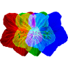 FLOWER POWER