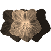 FLOWER POWER