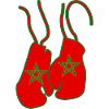 Boxe Maroc Boxeur Marocain