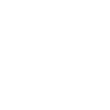 Wild Horse -