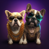 Lustiges Französiche Bulldoggen Pärchen