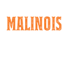 Malinois Glück Belgian Shepherd