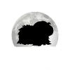 Guinea Pig Moon Guinea Pig