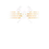 Roofer -Roof house repairs