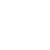 Kooikerhondje