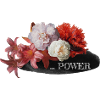 Flower Power