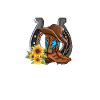Line Dancing Cowboy Boots Western