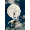 Astro-Knight