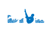 Diving Divers