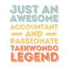 Accountant Taekwondo retro