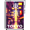 Japanese Streetwear Aesthetic