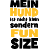 kleiner Hund