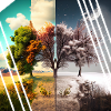 Four seasons