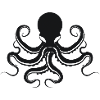 The Kraken