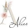 Alice! Name Boho