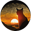 cat sunset