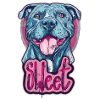 Sweet Pitbull