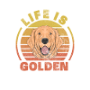 Golden Retrievers