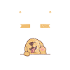 Golden Retrievers
