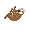 Sunflower Sloth Sloth Sunflower