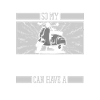 Scooter Cat