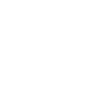 Dragster Drag Race Cat