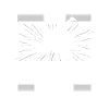 Judoka Cat