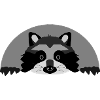 Raccoon