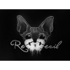 Sphynx Cat Dunkek