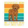 Labradoodle Dog