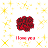 rose st valentin