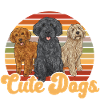 Labradoodle Hund