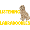 Labradoodle Hund