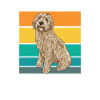 Labradoodle Dog
