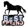Best Friend Horse Pferd