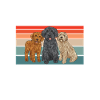 Labradoodle Dog