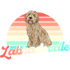 Labradoodle Dog