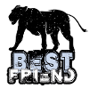 Best Friend Lion | Lion