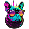 French Bulldog with sunglasses