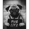 Pug Mugshot - Pug Life