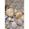 Beach pebbles