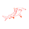 Hammerhead