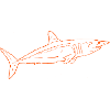 Shark T-Shirt