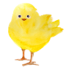 Küken