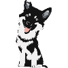Mignon bébé Husky Dog