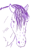 Cheval Rose