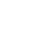 Horse Foal