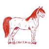 Pferde T-Shirt