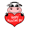 Valentine's Day Heart Cow