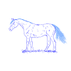 T-shirt cheval